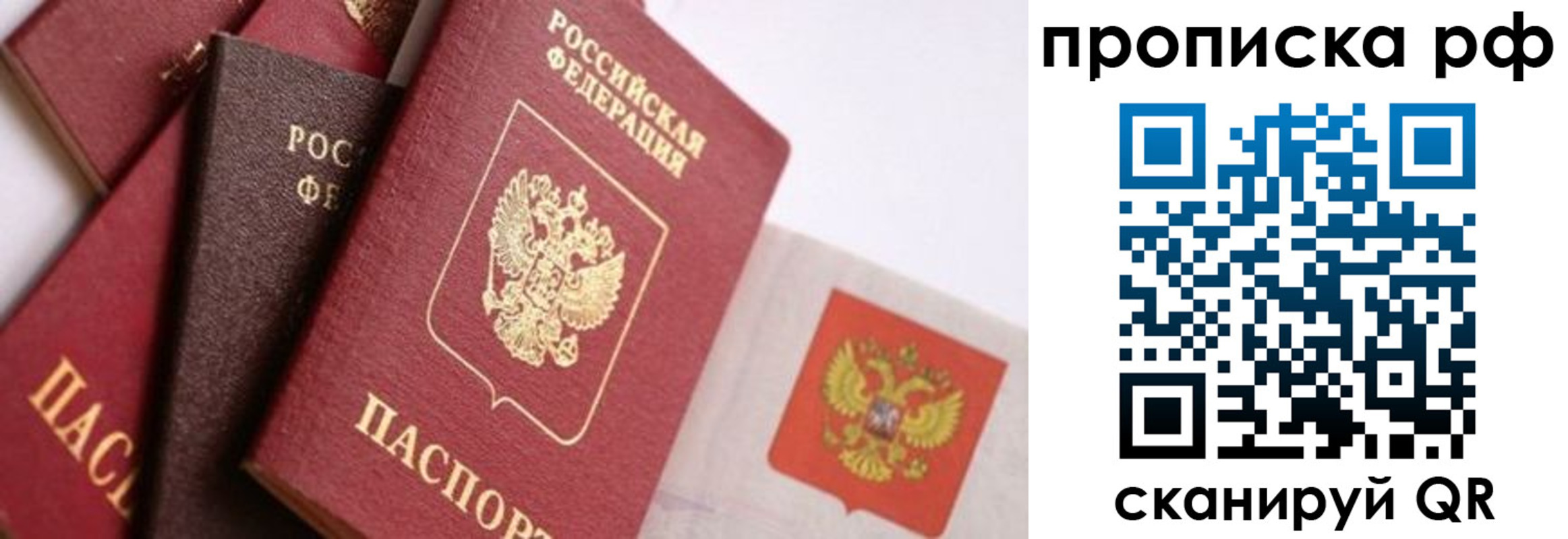 найти адрес прописки в Дрезне